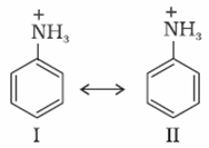 Amines Class 12 Notes Chemistry