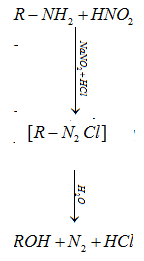 Amines Class 12 Notes Chemistry