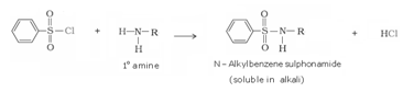 Amines Class 12 Notes Chemistry