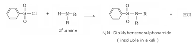 Amines Class 12 Notes Chemistry