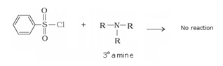 Amines Class 12 Notes Chemistry