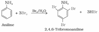 Amines Class 12 Notes Chemistry