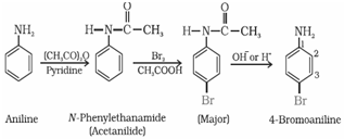 Amines Class 12 Notes Chemistry