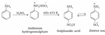 Amines Class 12 Notes Chemistry