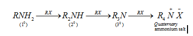 Amines Class 12 Notes Chemistry