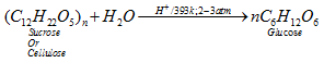 Biomolecules Class 12 Notes Chemistry