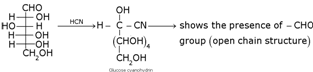 Biomolecules Class 12 Notes Chemistry