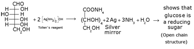 Biomolecules Class 12 Notes Chemistry