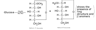 Biomolecules Class 12 Notes Chemistry