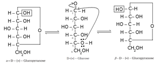 Biomolecules Class 12 Notes Chemistry