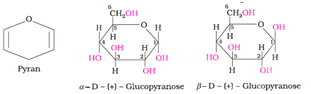 Biomolecules Class 12 Notes Chemistry