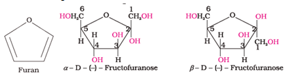 Biomolecules Class 12 Notes Chemistry