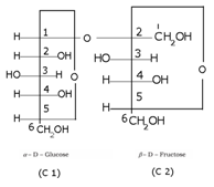 Biomolecules Class 12 Notes Chemistry