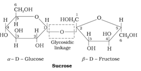 Biomolecules Class 12 Notes Chemistry