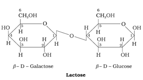 Biomolecules Class 12 Notes Chemistry