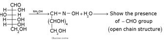 Biomolecules Class 12 Notes Chemistry