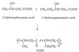 Polymers Class 12 Notes Chemistry